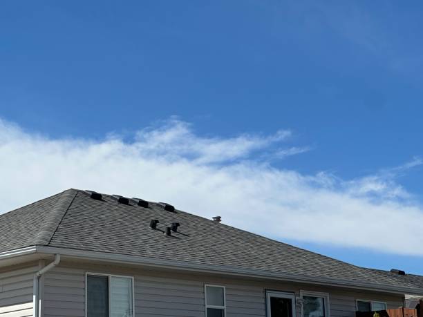 Best Chimney Flashing Repair  in Eddystone, PA